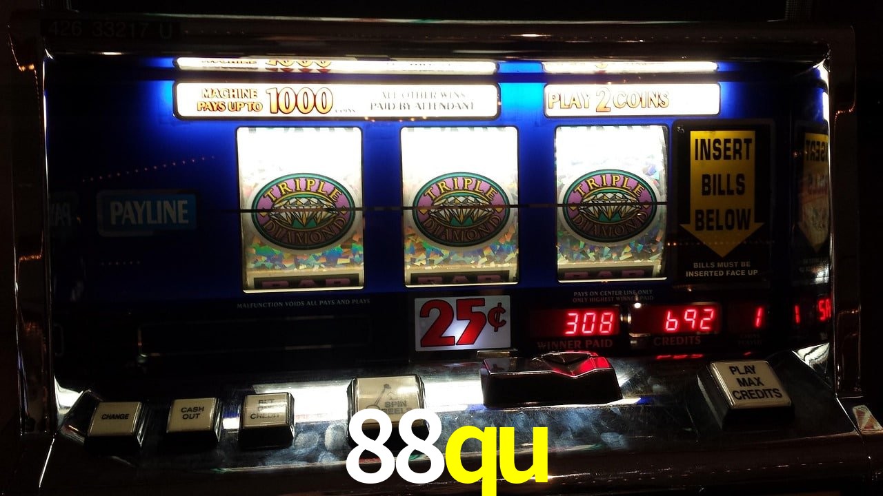 Experiência VIP 88qu